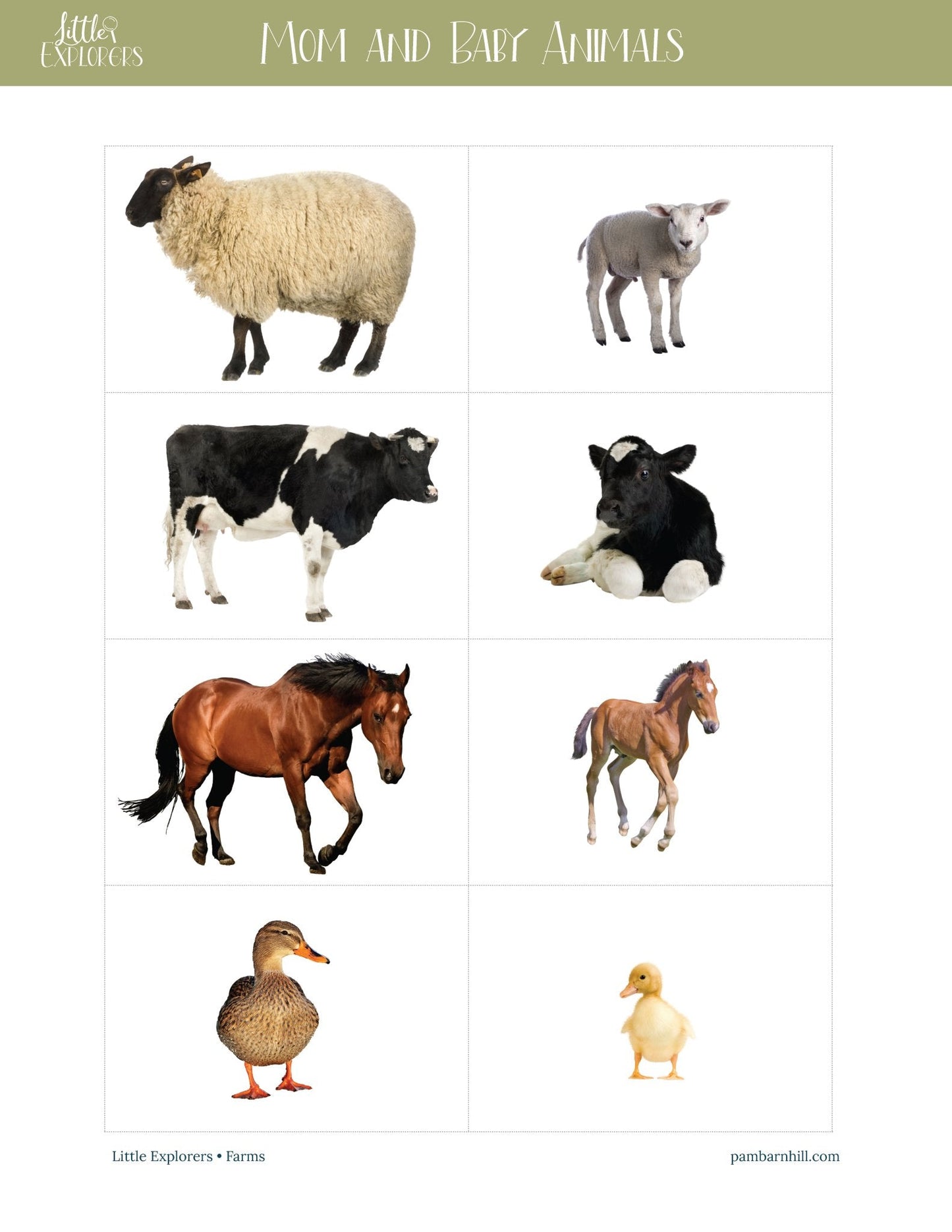 Farms Little Explorers - Homeschool Better Together