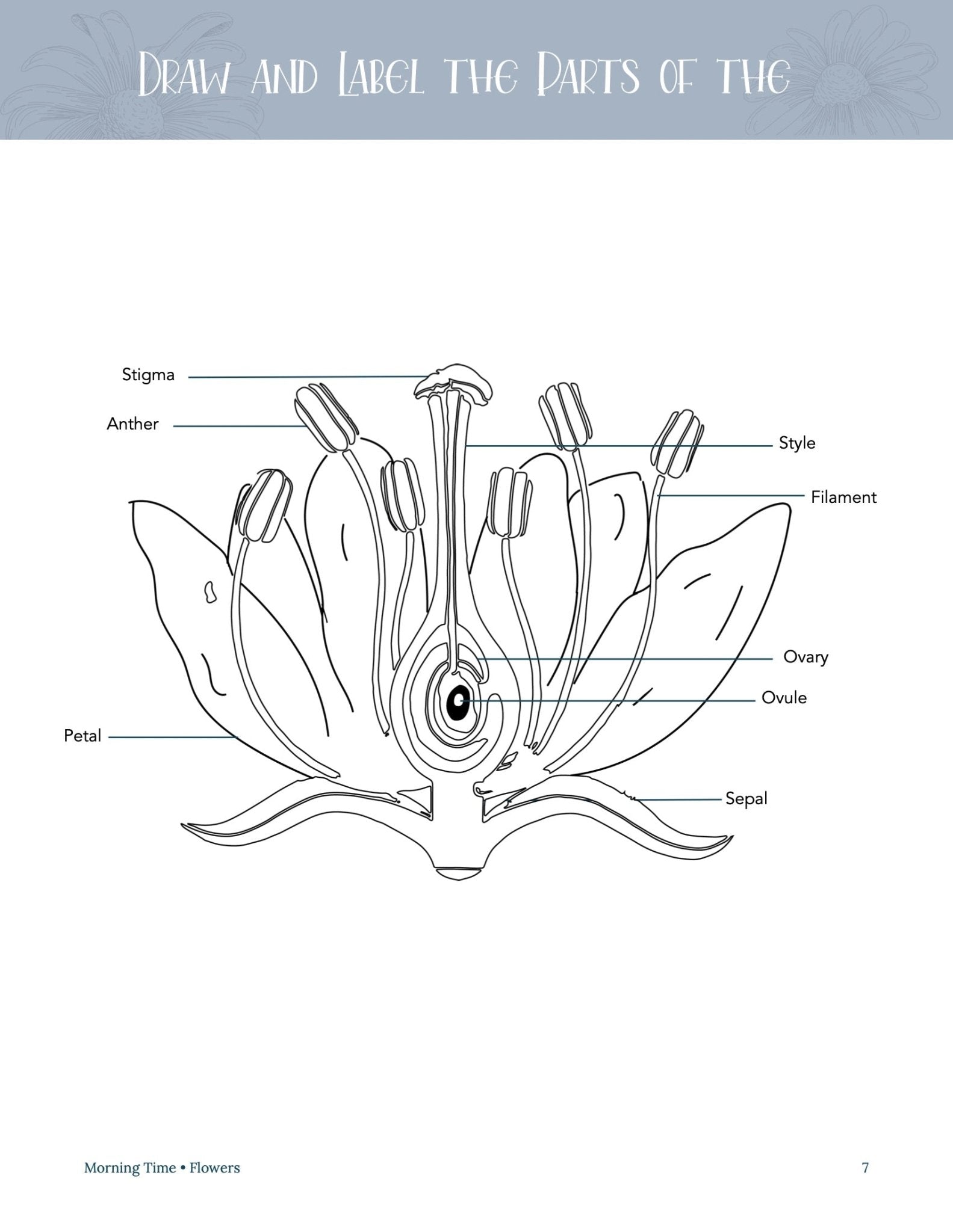 Flowers Wonder Studies - Homeschool Better Together