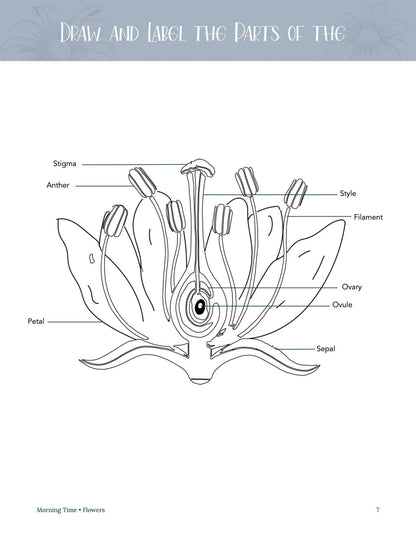 Flowers Wonder Studies - Homeschool Better Together