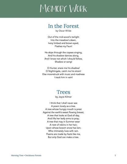 Forest Wonder Studies - Homeschool Better Together