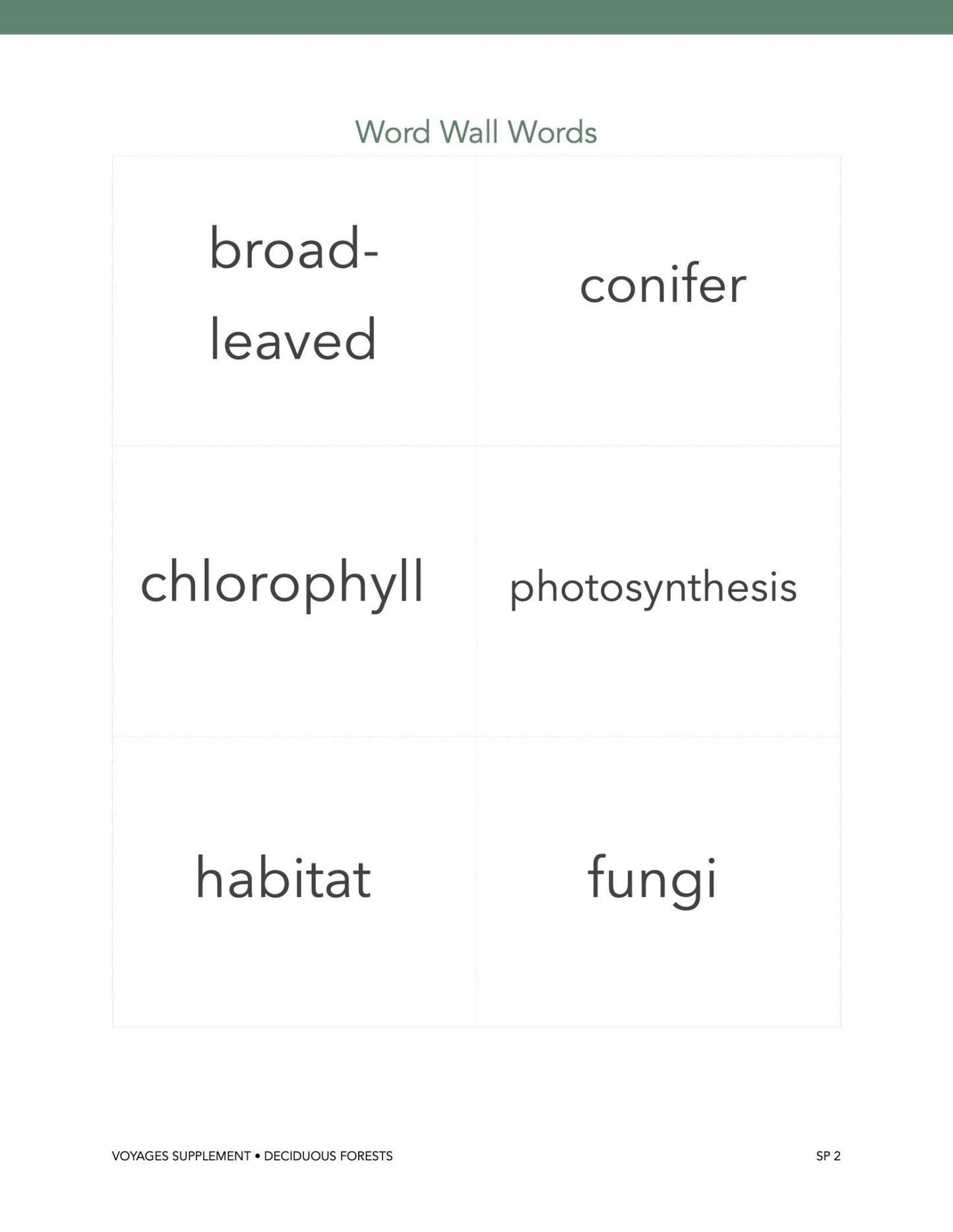 Forest Wonder Studies - Homeschool Better Together