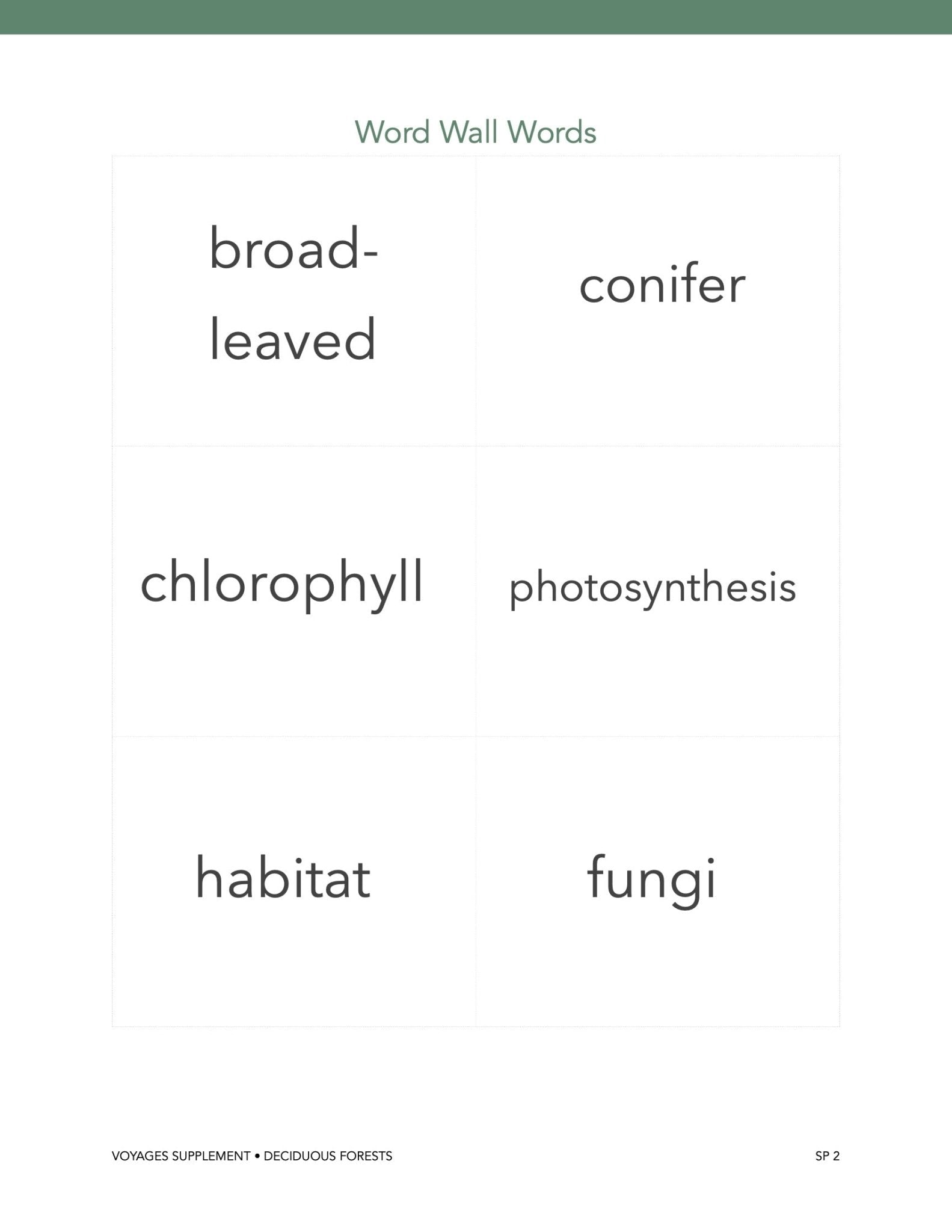 Forest Wonder Studies - Homeschool Better Together