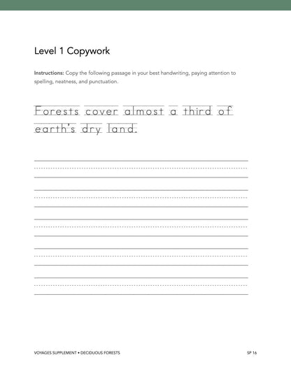 Forest Wonder Studies - Homeschool Better Together